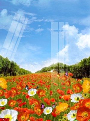 File tranh File tranh gốc in tranh tường nền tổng hợp H37687 (gốc) phong cách tối giản