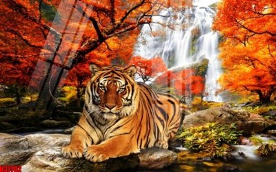 File PSD File tranh gốc in tranh tường nền tổng hợp H37702 (bản gốc) dễ dàng edit