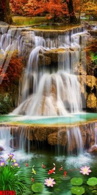 File tranh File tranh gốc in tranh tường nền tổng hợp H37793 (bản gốc) in lụa 3D