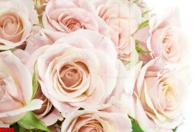 Mua file gốc File tranh decor tranh bộ treo tường tổng hợp H3809 (chất lượng) tại Filetranh.com