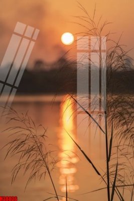 File tranh File tranh gốc in tranh tường nền tổng hợp H38836 (bản gốc) treo phòng ăn