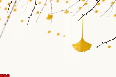 File PSD File tranh gốc in tranh tường nền tổng hợp H38910 (bản gốc) độ phân giải cao