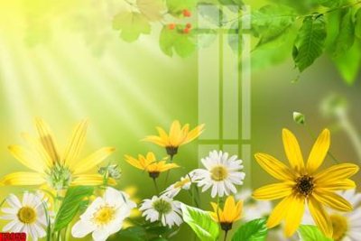 File tranh gốc in trần nhà File tranh decor tranh bộ treo tường tổng hợp H3959 3D