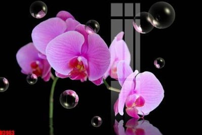 File tranh File tranh decor tranh bộ treo tường tổng hợp H3963 (ảnh gốc) in trần nhà