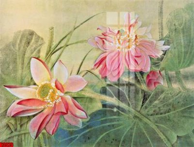 Download file File tranh decor tranh bộ treo tường tổng hợp H3979 (gốc) cho xưởng in