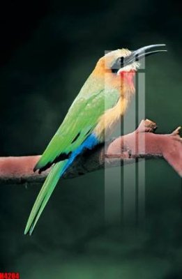 Download file gốc File tranh decor tranh bộ treo tường tổng hợp H4204 (in mica) trong suốt