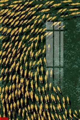 File tranh File tranh decor tranh bộ treo tường tổng hợp H4495 (bản gốc) treo tường