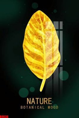 File gốc File tranh decor tranh bộ treo tường tổng hợp H4636 (PNG) trong suốt (transparent)