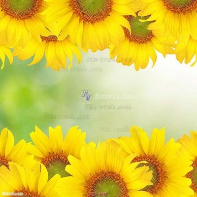 File PSD file tranh hoa H49 (gốc) cho in quảng cáo