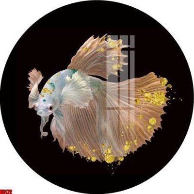 Tải file File tranh decor tranh bộ treo tường tổng hợp H5172 (ảnh gốc) in gạch 3D