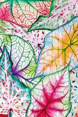 File in lụa File tranh decor tranh bộ treo tường tổng hợp H5344 (chất lượng cao) File tranh decor tranh bộ treo tường tổng hợp H5344