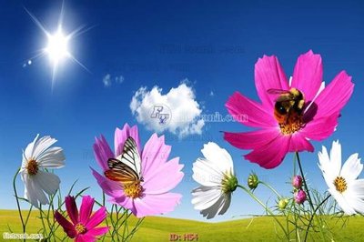 File in lụa file tranh hoa H54 (hoa văn) file tranh hoa H54