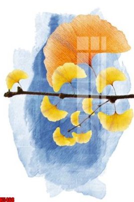 Tải file File tranh decor tranh bộ treo tường tổng hợp H5468 (gốc) in nhanh