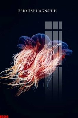 Tải file File tranh decor tranh bộ treo tường tổng hợp H5694 (gốc) làm file thiết kế