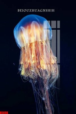 File ảnh File tranh decor tranh bộ treo tường tổng hợp H5698 (gốc) cho trang trí nội thất