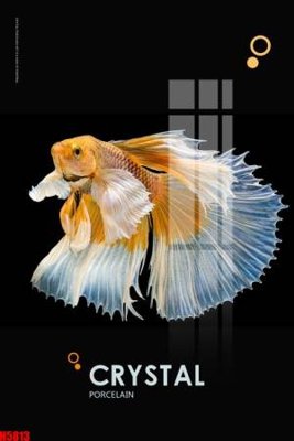 File gốc in tráng gương File tranh decor tranh bộ treo tường tổng hợp H5813 chi tiết