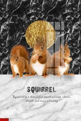 File gốc File tranh decor tranh bộ treo tường tổng hợp H5855 (cho in 3D) độc đáo