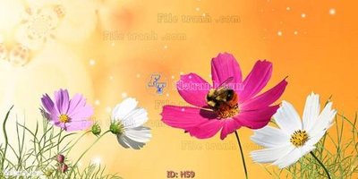 File in lụa file tranh hoa H59 (hoa văn) file tranh hoa H59