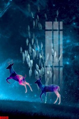 Ảnh gốc File tranh decor tranh bộ treo tường tổng hợp H6049 (độ nét cao) in mica