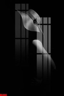 File gốc file tranh nền tường thủy mặc tổng hợp H6466 (in lụa) hoa văn cổ điển