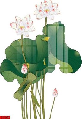 File ảnh file tranh tổng hợp H6853 (gốc) in decal dán tường