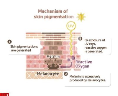 File tranh file tranh tổng hợp H6871 (ảnh gốc) in trần 3D