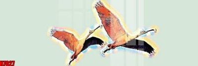 Tải file file tranh tổng hợp H7027 (gốc) chủ đề tâm linh