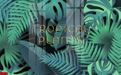 Tải file gốc File tranh gốc tổng hợp tranh nền tường đẹp H8131 (in tráng gương) 5DFile gốc File tranh gốc tổng hợp tranh nền tường đẹp H8131 (in ấn) phiên bản premium