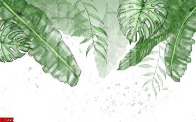 File in ấn File tranh gốc tổng hợp tranh nền tường đẹp H8222 chuyên nghiệp