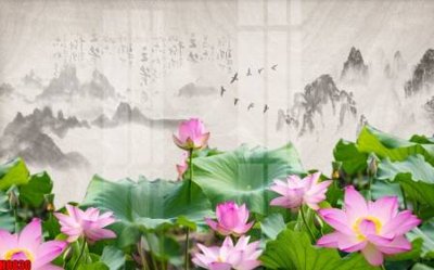 File in mica File tranh gốc tổng hợp tranh nền tường đẹp H8830 (ảnh gốc) đẹp