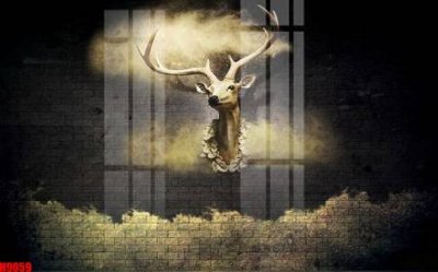 File tranh File tranh gốc tổng hợp tranh nền tường đẹp H9059 (gốc) in film