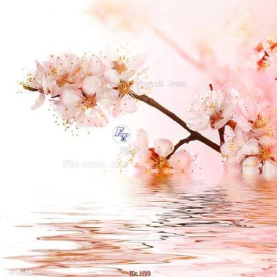 Download file gốc file tranh hoa H99 (in lụa) cao cấp