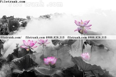 Tải file Hinh anh hoa sen dep 654 (ảnh gốc) in tranh kính