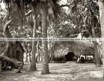 File in mica Joe's Jungle Bungalow_ 1904 (ảnh gốc) đẹp