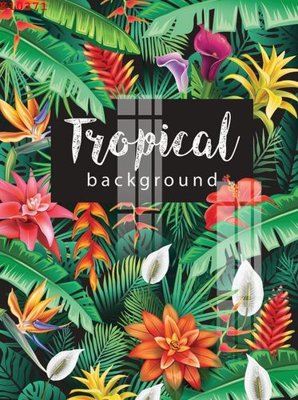 File in trần File gốc in tranh tổng hợp K10371 (bản gốc) 5D