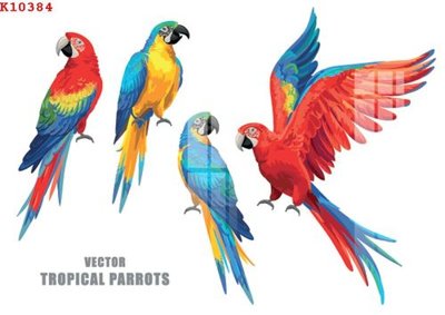 File tranh File gốc in tranh tổng hợp K10384 (bản gốc) treo phòng ăn