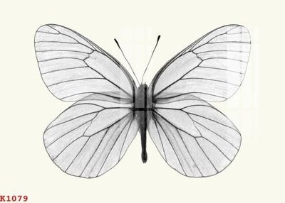 File PSD File gốc in tranh tổng hợp K1079 (chất lượng in ấn)