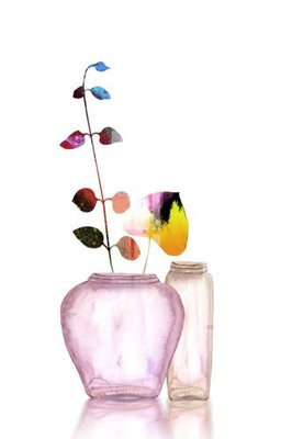 File in mica File gốc in tranh tổng hợp K10901 (bản gốc) siêu trong