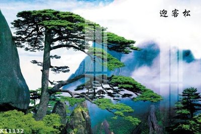 File ảnh File gốc in tranh tổng hợp K11132 (gốc) cho trang trí nhà hàng