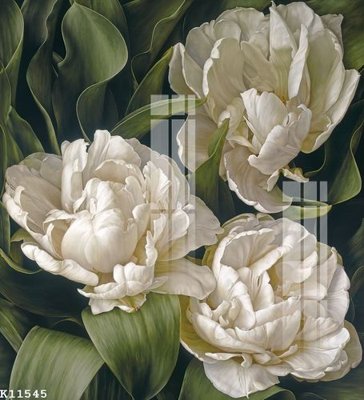 File tranh File gốc in tranh tổng hợp K11545 (ảnh gốc) in trần nhà