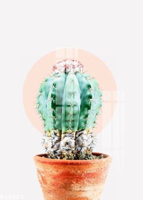 File gốc File gốc in tranh tổng hợp K11653 (PSD/TIFF) độ phân giải cao