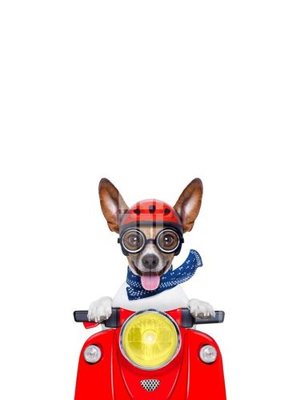 Download file File gốc in tranh tổng hợp K11656 (chuẩn in) chất lượng cao