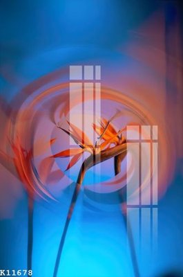 Tải file gốc File gốc in tranh tổng hợp K11678 (in tráng gương) 5DFile gốc File gốc in tranh tổng hợp K11678 (in ấn) phiên bản premium