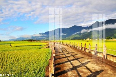 Download file File gốc in tranh tổng hợp K11901 (gốc) in mica đèn LED