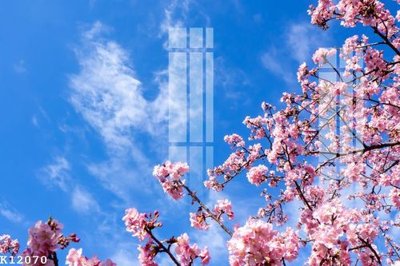 Tải file File gốc in tranh tổng hợp K12070 (ảnh gốc) file TIFF