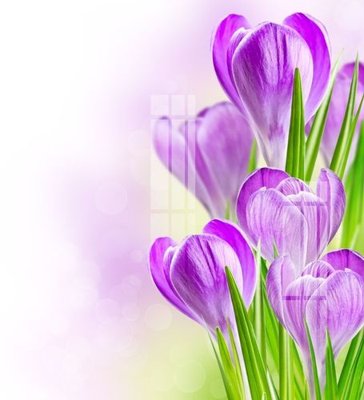 File tranh File gốc in tranh tổng hợp K12120 (bản gốc) trang trí văn phòng