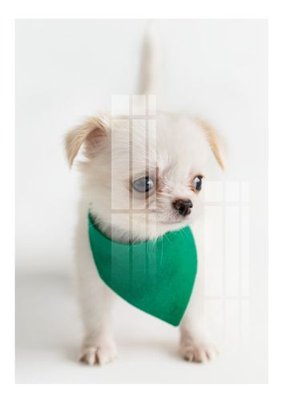 Download file File gốc in tranh tổng hợp K12608 (gốc) in mica cao cấp