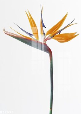 Tải file gốc File gốc in tranh tổng hợp K12698 (in tráng gương) 5DFile gốc File gốc in tranh tổng hợp K12698 (in ấn) phiên bản premium