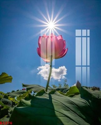 File tranh File gốc in tranh tổng hợp K1276 (bản gốc) in lụa 5D