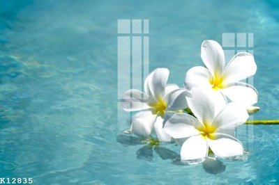 Download file File gốc in tranh tổng hợp K12835 (chuẩn in) File gốc in tranh tổng hợp K12835